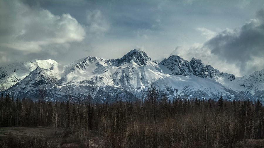 Chugach Range Photograph by Robert Fawcett