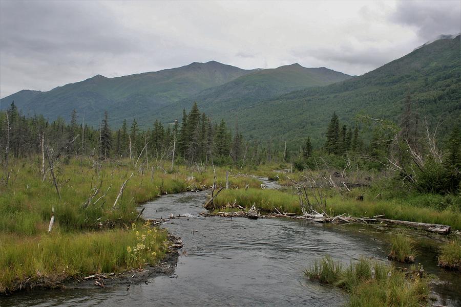 Chugach State Park Photograph By Flo McKinley Fine Art America   Chugach State Park Flo Mckinley 