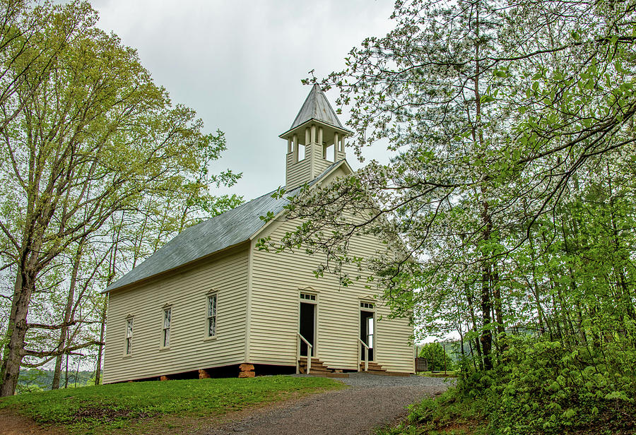 Church Among the Dogwoods Photograph by Marcy Wielfaert - Pixels