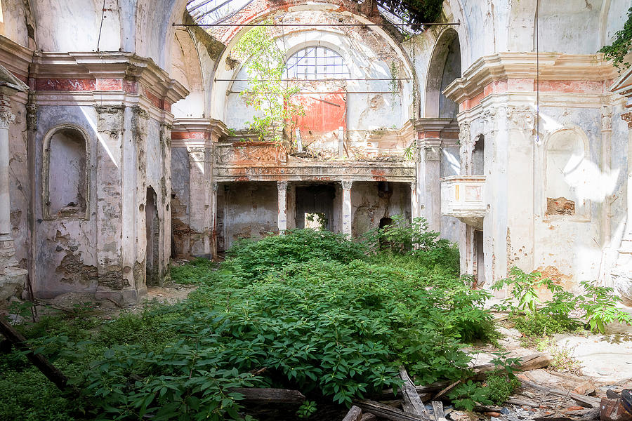 Church Reclaimed by Nature Photograph by Roman Robroek