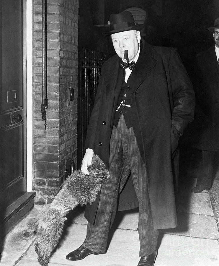 London Photograph - Churchill Being Greeted By Poodle by Bettmann