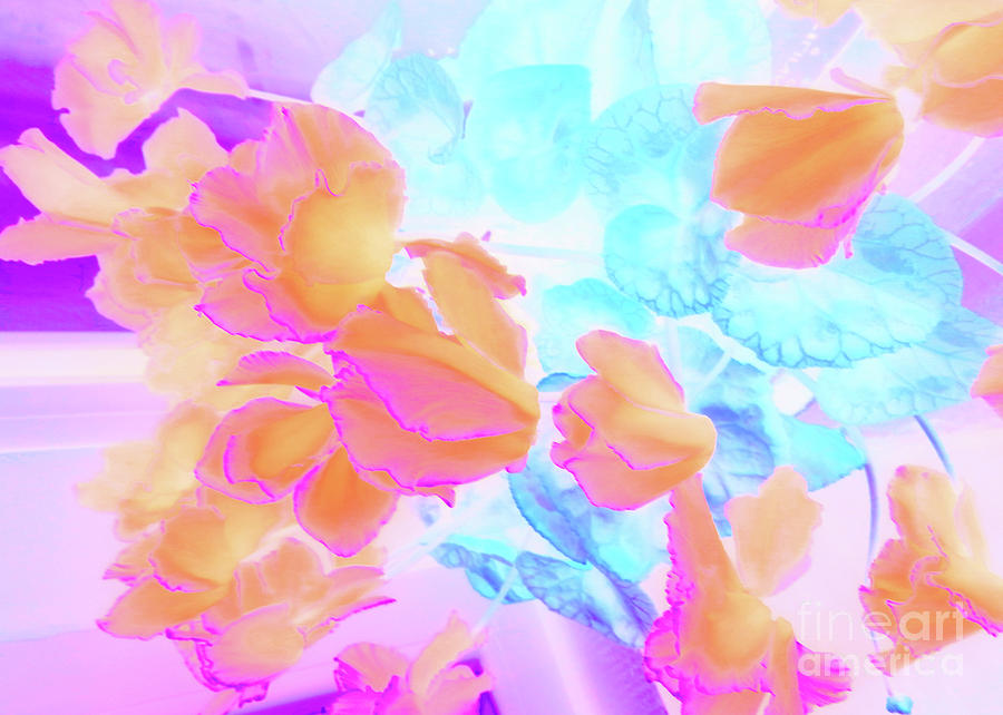 Ciclamen Garden Flower 2 by Cveti Dinkova Ciclamen Garden Flower 2 by Cveti Dinkova