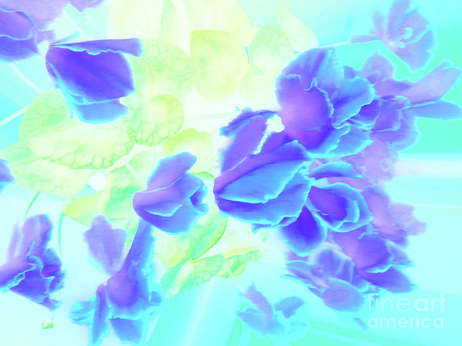 Ciclamen Garden Flower by Cveti Dinkova Ciclamen Garden Flower by Cveti Dinkova