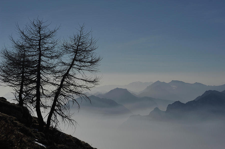 Cima Creino, View To The Adamello, Trentino, Italy Photograph by Peter Umfahrer