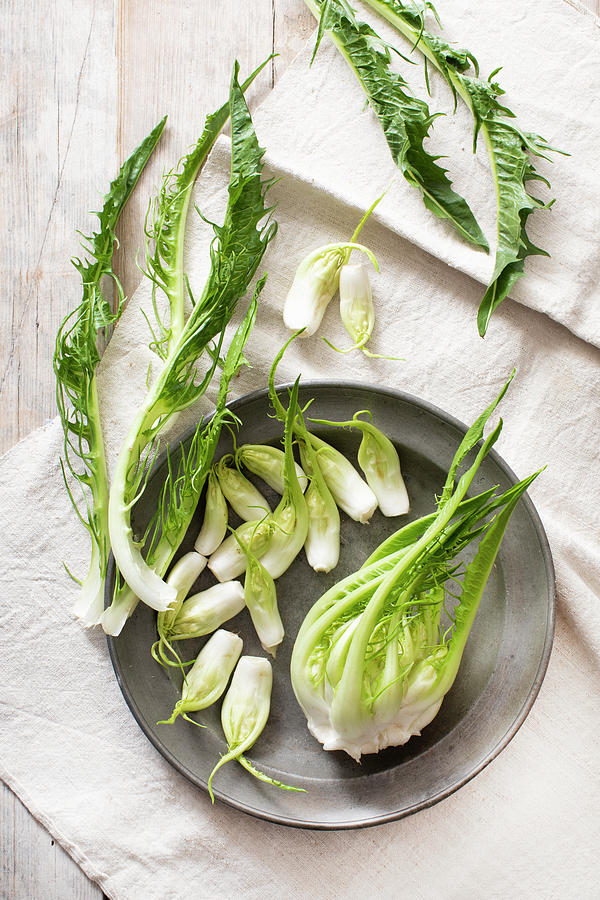 Cimata volcanic Asparagus Or Puntarelle From Puglia Photograph by Sabine Lscher