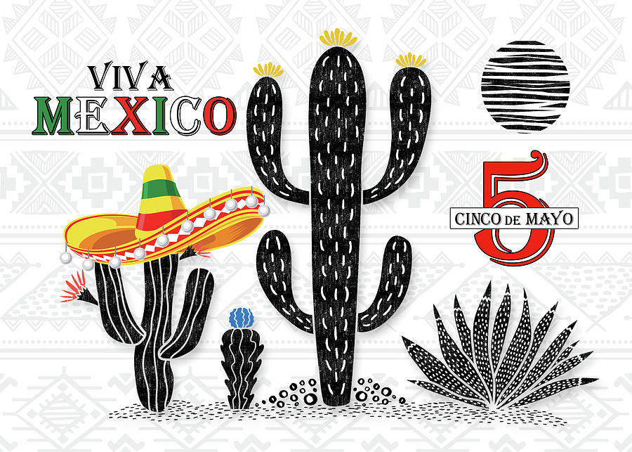 Cinco de Mayo Viva Mexico with Cactus and Sombrero Digital Art by Doreen Erhardt