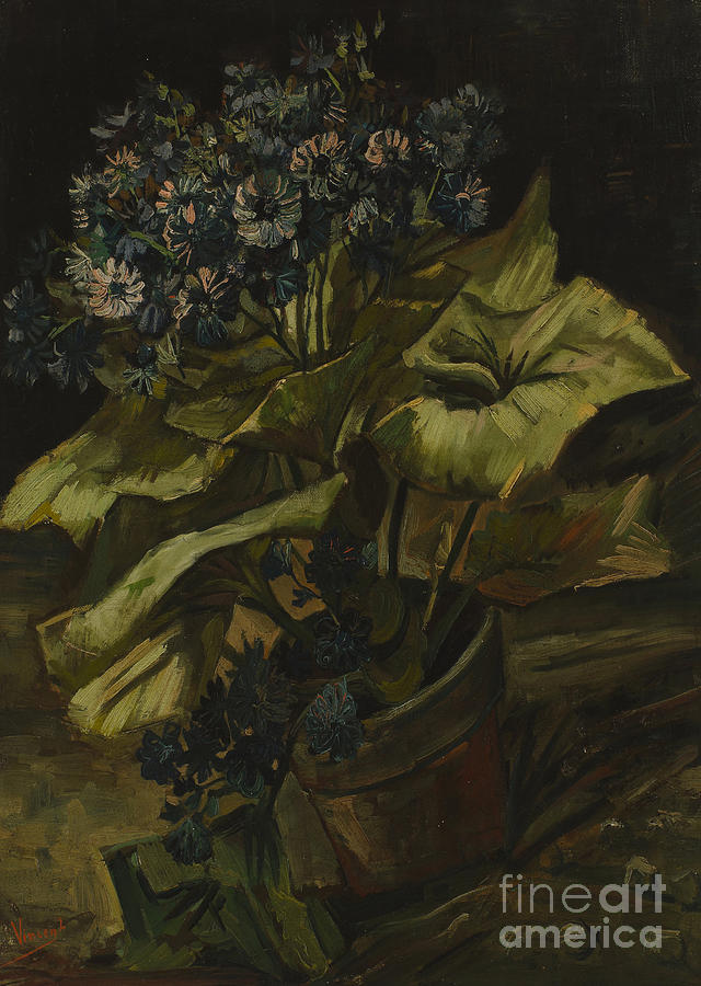 Cineraria, 1886. Artist Gogh, Vincent Drawing by Heritage Images