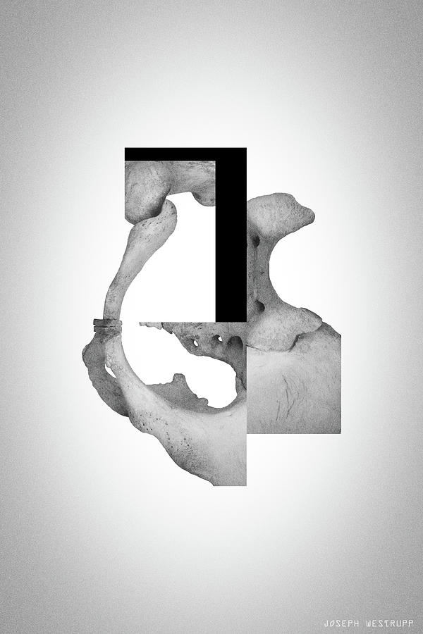 Cinerealism Bereft - Surreal Abstract Bone Collage and Geometry by Joseph Westrupp Cinerealism Bereft - Surreal Abstract Bone Collage and Geometry by Joseph Westrupp