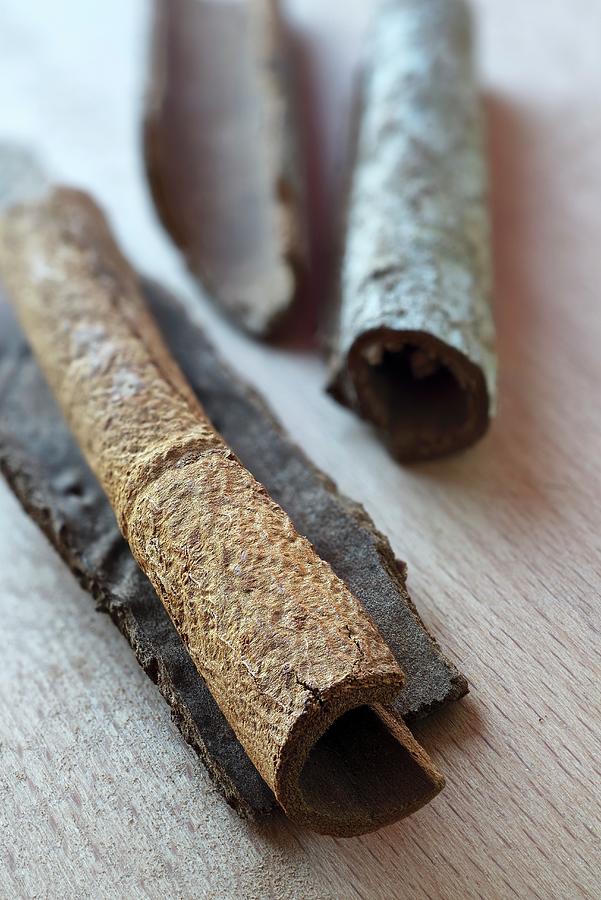 Cinnamon Bark cassia Photograph by Dr. Martin Baumgrtner