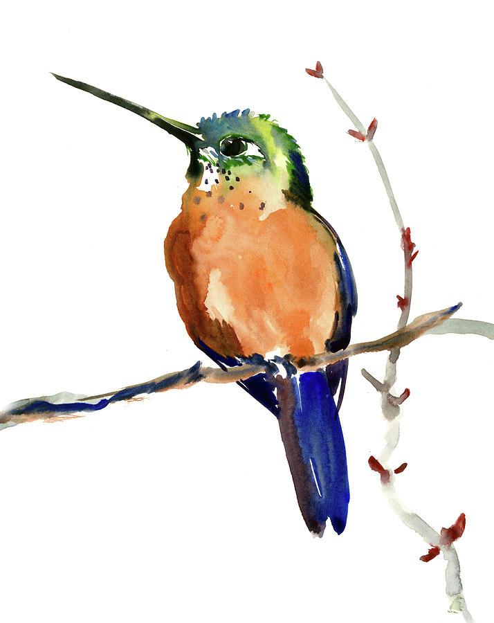 Cinnamon Hummingbird Artwork design Painting by Suren Nersisyan