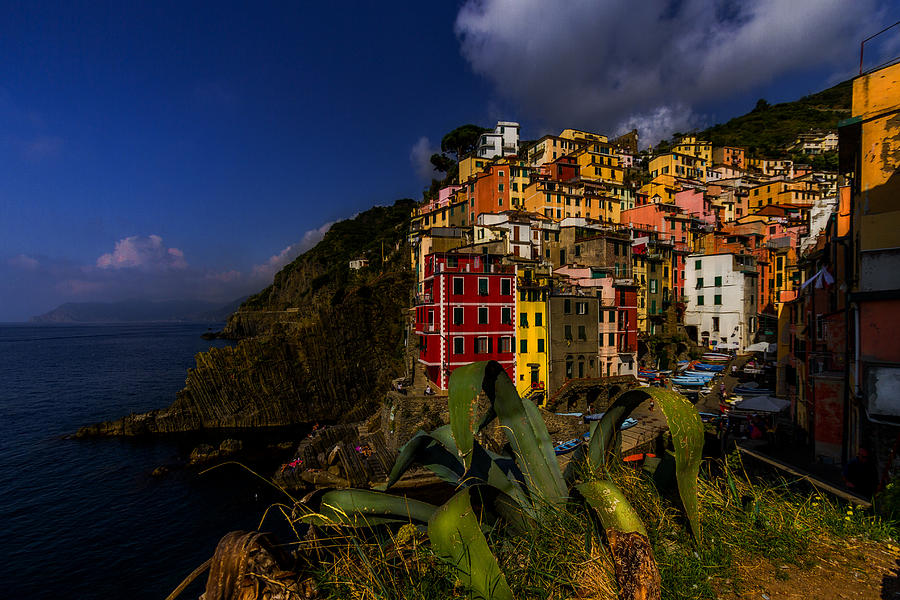 Landscape Photograph - Cinque Terre by Gabrielle Halperin