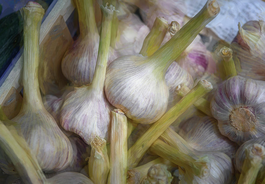 Cinque Terre Garlic Artistic Photograph by Joan Carroll