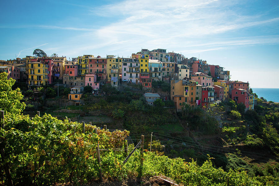 Cinque Terre Photograph by Raf Winterpacht