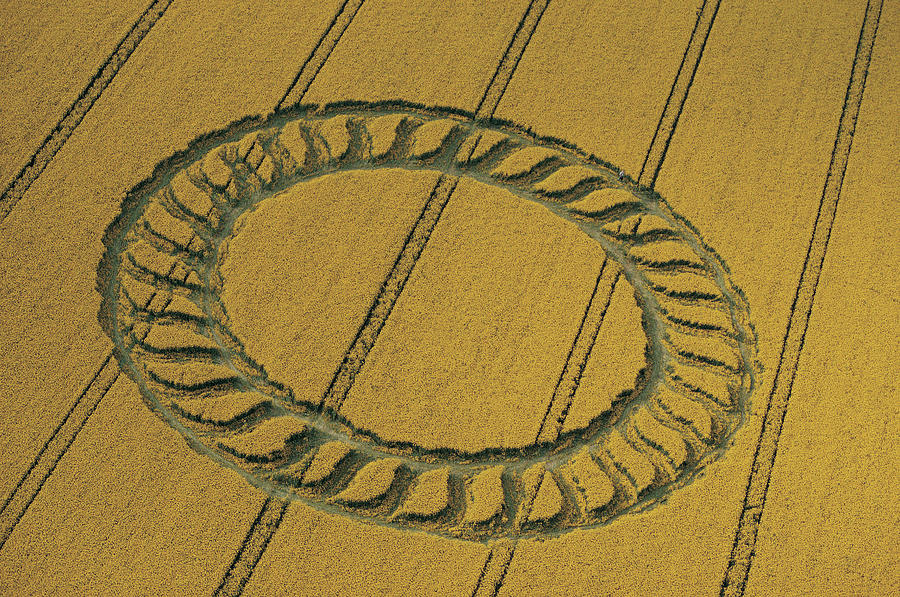 Circular Design In Field Photograph by Digital Vision.