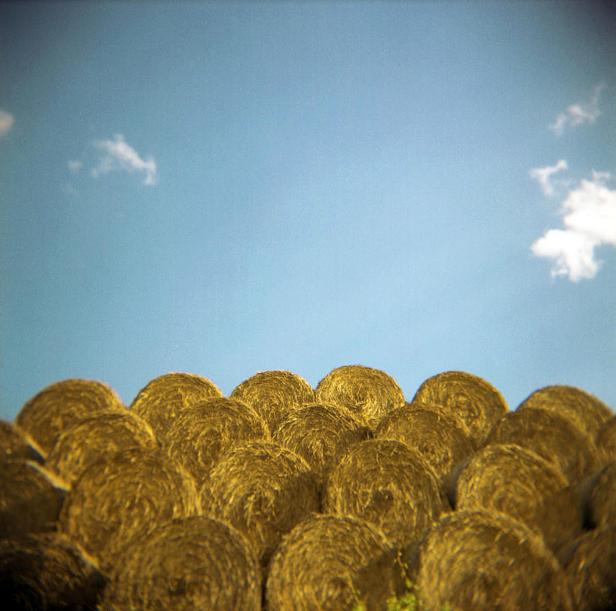 Circular Hay Bales Photograph by James Arnold