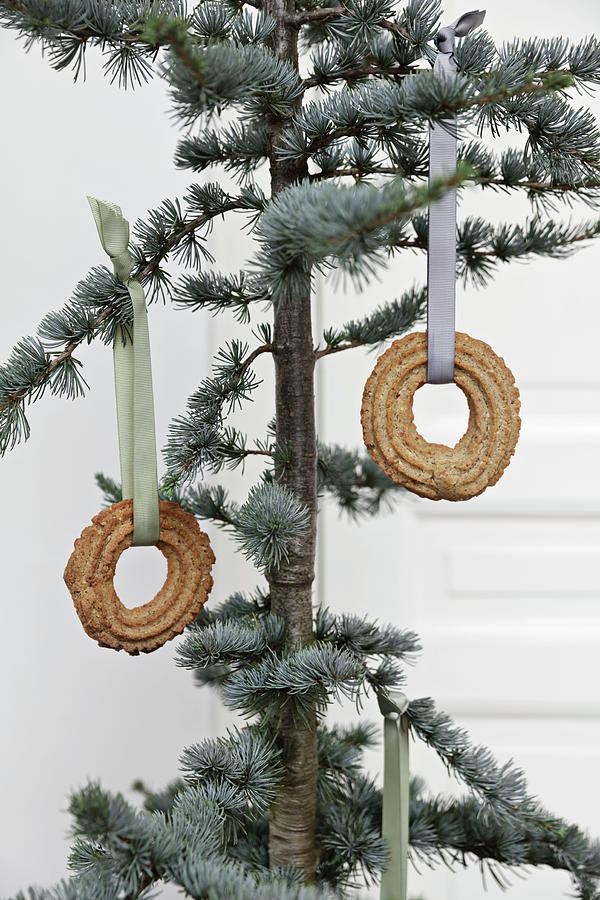 Circular Pastries Hung On Christmas Tree Photograph by Lykke Foged & Morten Holtum