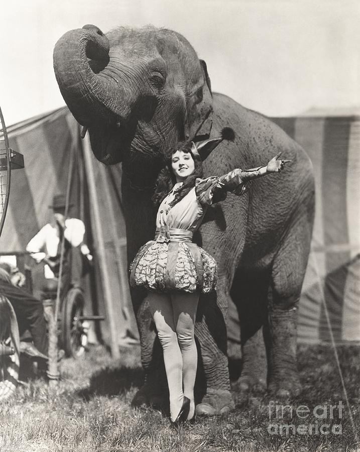 1920s Photograph - Circus Performer Posing With Elephant by Everett Collection 1920s Photograph - Circus Performer Posing With Elephant by Everett Collection