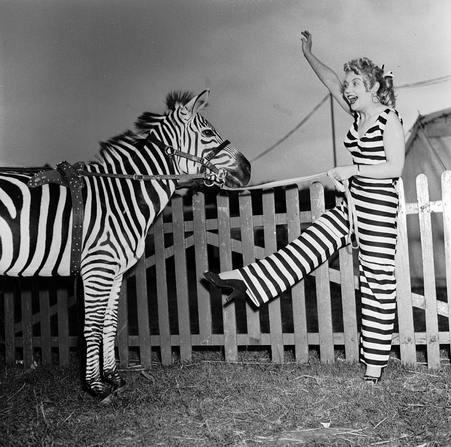 Circus Stripes Photograph by Peter Purdy