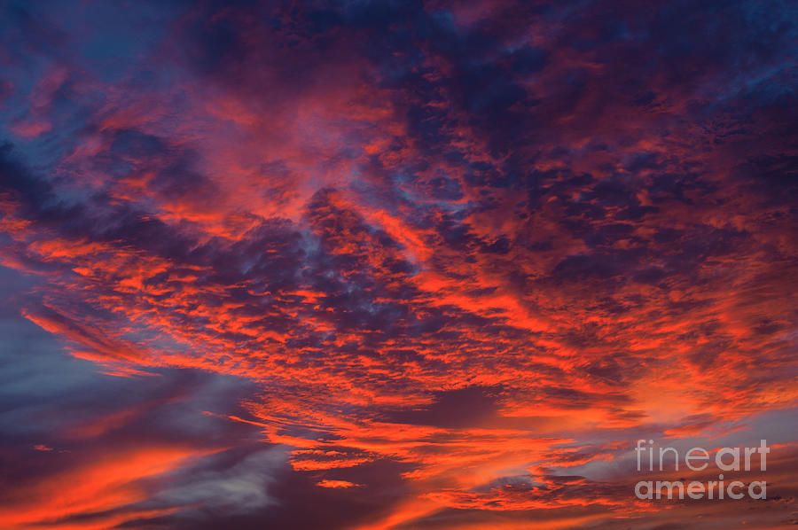 Cirrocumulus clouds at sunset with spectacular light and color Photograph by Jim Corwin