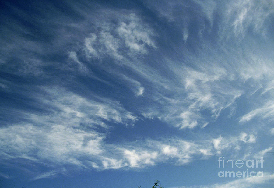 Cirrus Clouds In A Blue Sky Photograph by John Howard/science Photo Library