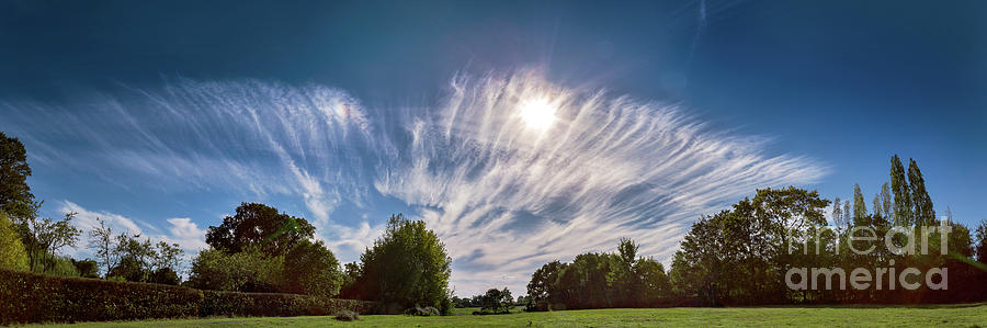 Cirrus Fibratus Clouds Over Trees Photograph by Stephen Burt/science Photo Library