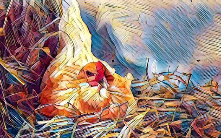 Cirrus Lays an Egg by Caryl J Bohn Cirrus Lays an Egg by Caryl J Bohn