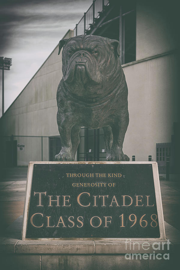 Citadel Mascot - Bulldog Photograph by Dale Powell