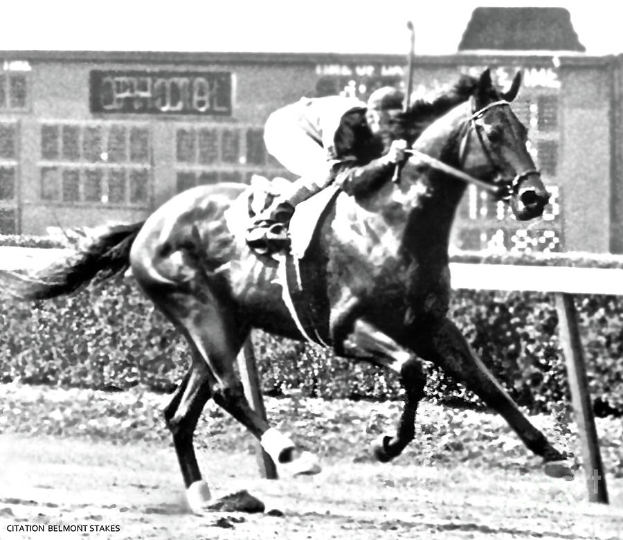 1948 Belmont Stakes CITATION Glossy 8x10 Photo Print Triple Crown Winner Poster 