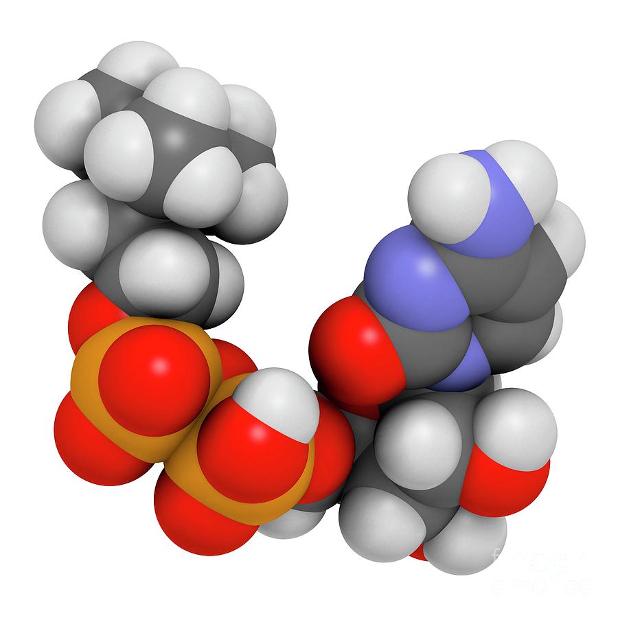 Citicoline Molecule Photograph by Molekuul/science Photo Library