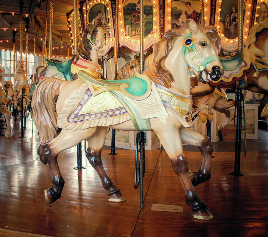 City Horse Photograph by Suzy Quigley - Fine Art America