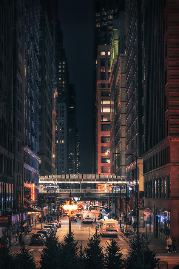 City Lights Photograph by David Flores
