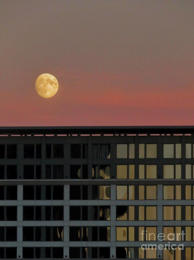 City Moon Rise Photograph by Diana Rajala