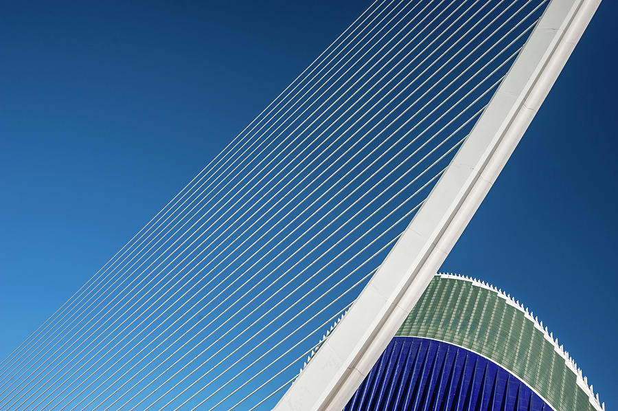 City Of Arts And Sciences, Calatrava Photograph by Izzet Keribar