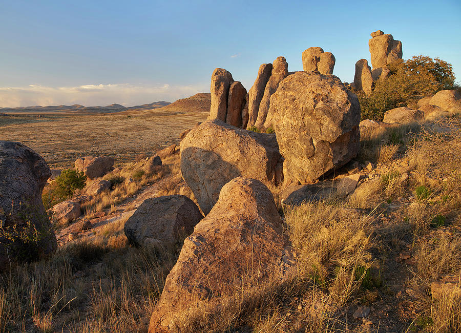 City Of Rocks State Park, New Mexico Photograph by Tim Fitzharris