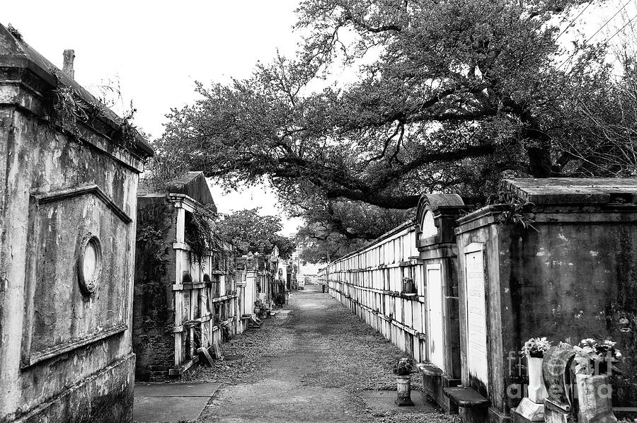 City of the Dead in New Orleans Photograph by John Rizzuto