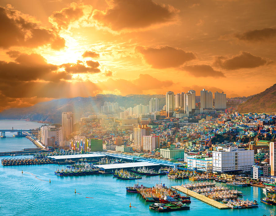City Photograph - Cityscape Of Busan, South Korea by Sean Pavone