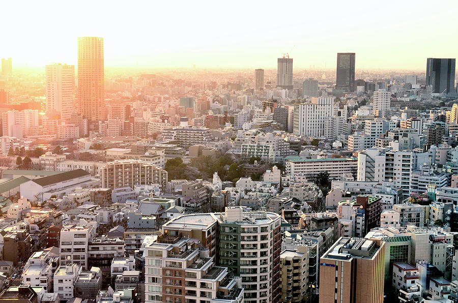 Cityscape Of Tokyo Photograph by Keiko Iwabuchi