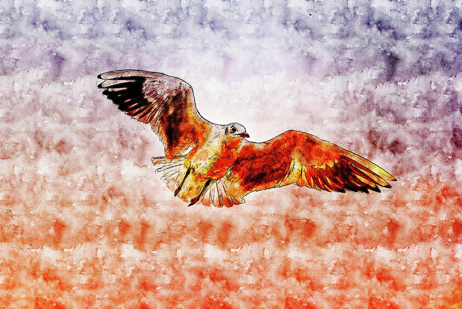 Cool Drawing - Cityscape watercolor drawing - Seagull by Hasan Ahmed