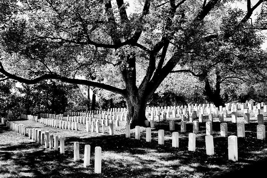 Arlington Civil War Honored Dead Photograph by Paul W Faust - Impressions of Light
