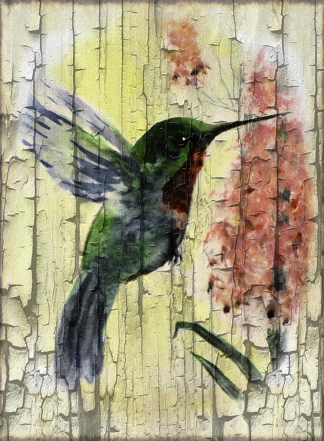 CK Hummingbird 1 Digital Art by Sheri McLeroy