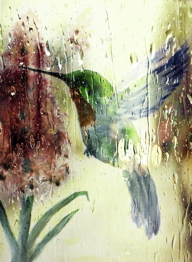 CK Hummingbird in the Rain Photograph by Sheri McLeroy