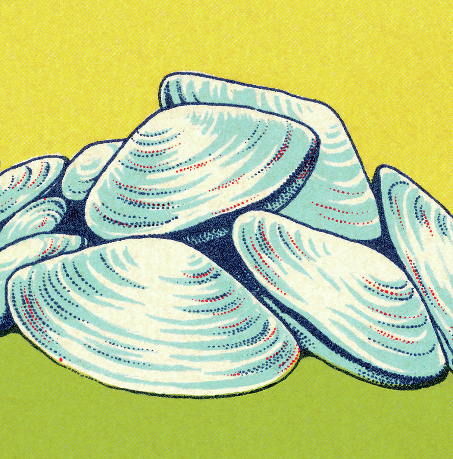 Vintage Drawing - Clam Shells by CSA Images