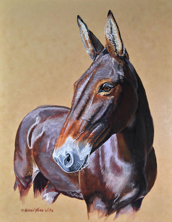 Portrait Painting - Clamity Jane Mule by Eileen Herb-witte