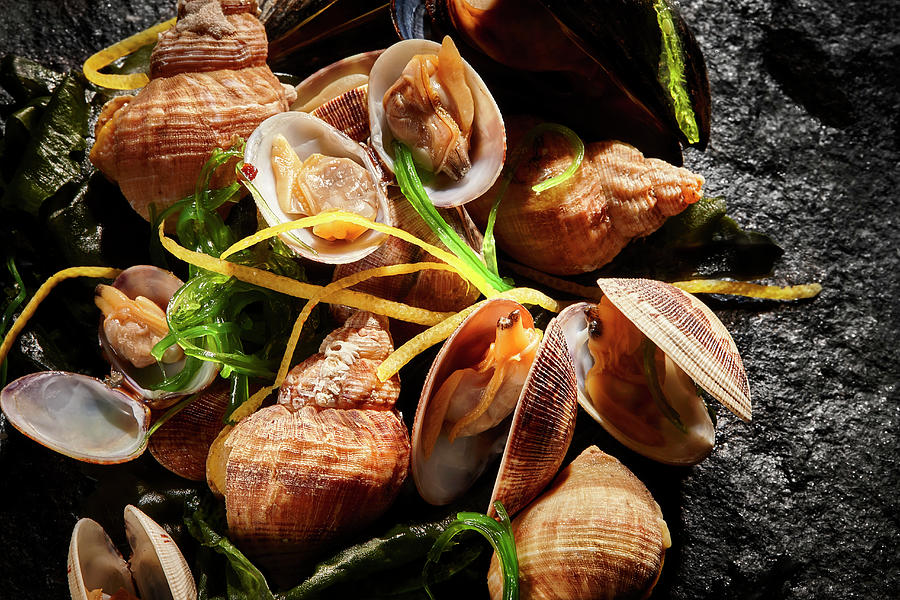 Clams And Sea Snails With Seaweed And Lemon Zest Photograph by Misha Vetter