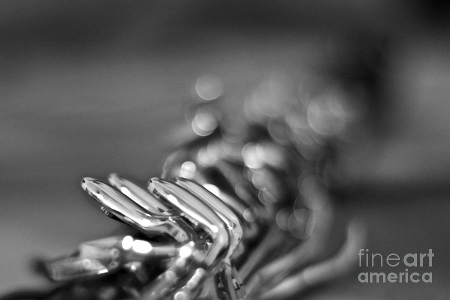 Clarinet Abstract Photograph by Afrodita Ellerman