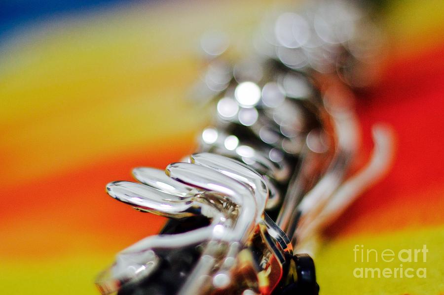 Clarinet detail Photograph by Afrodita Ellerman