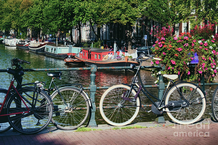 Classic Bikes in Amsterdam Photograph by George Oze