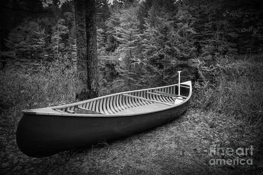 Classic Canoe Photograph by Edward Fielding