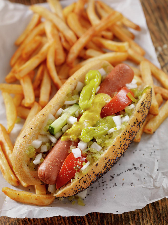 Classic Chicago Dog With Fries Photograph by Lauripatterson