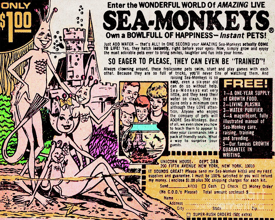 Classic Comic Book Advertisement Sea Monkeys 20190925 Photograph by Wingsdomain Art and Photography